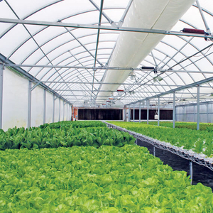 greenhouse netting.jpg